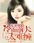 寵妻成癮:冷麵前夫太難纏