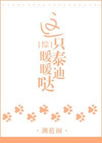 （家教同人）這隻泰迪暖暖噠[綜]